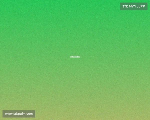 男排赛事级别划分